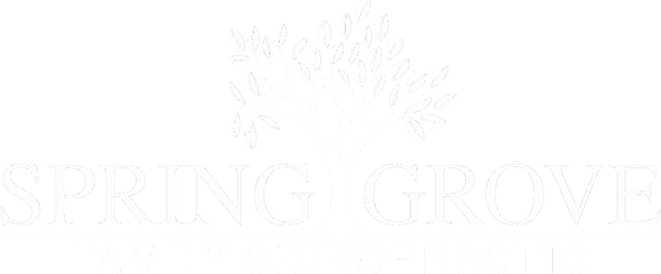Spring Grove Family Chiropractic Logo